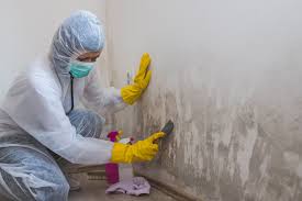 Best Forensic Mold Investigation  in Canal Fulton, OH